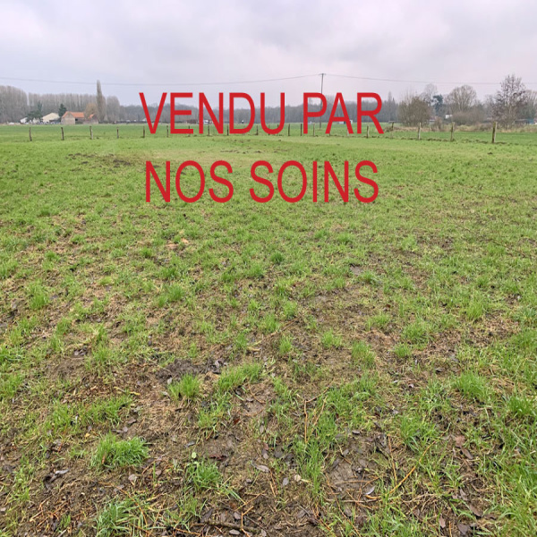 Offres de vente Terrain Saint-Amand-les-Eaux 59230
