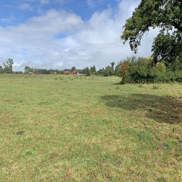 Offres de vente Terrain Nivelle 59230